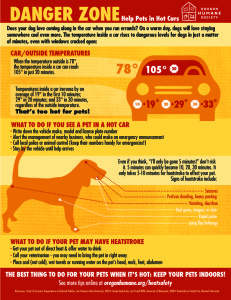 18_heat_infographic