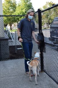 Tyler Jeffe walking Uma