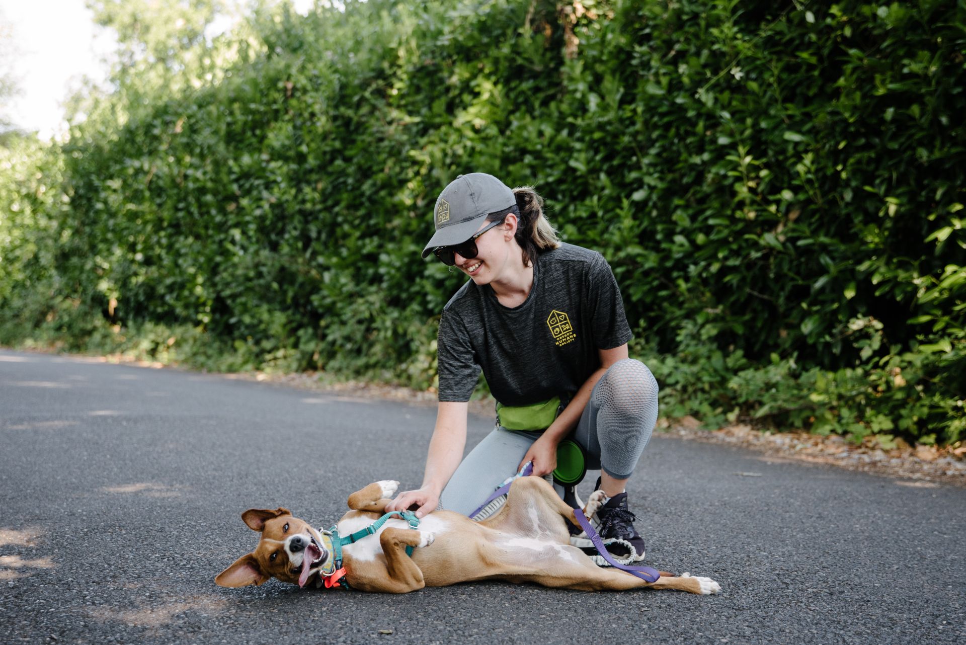 Missy the dog rolling on the ground and looking at the camera while being petted on the belly by Oregon Humane staff.