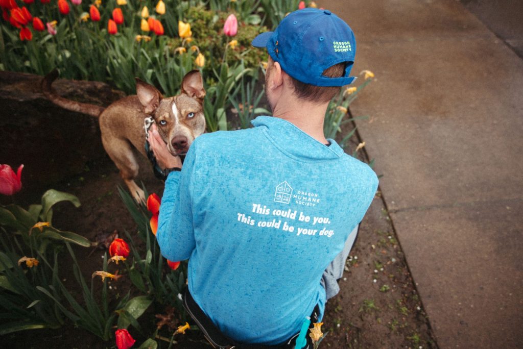 Oregon Humane Running Volunteer taking a break to pet Godric the dog