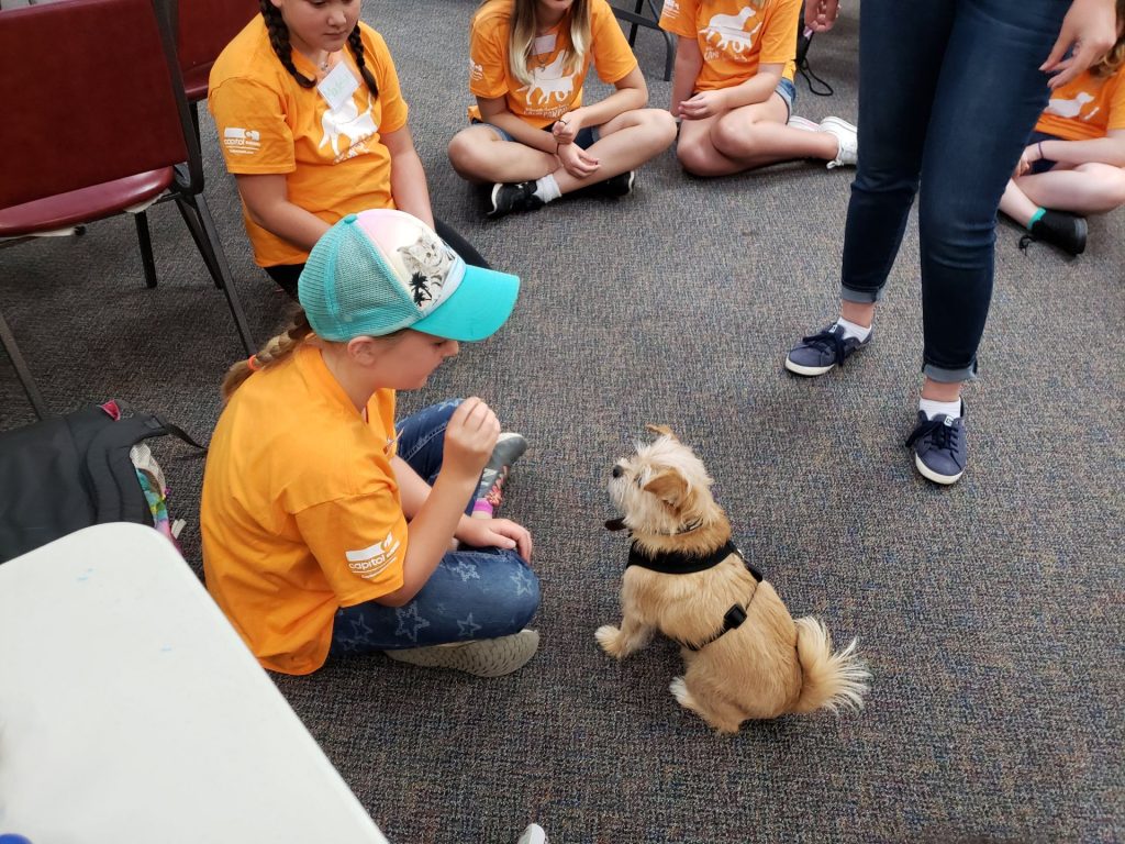 Camp Paw Paw OHS Salem campers teaching small dog to sit
