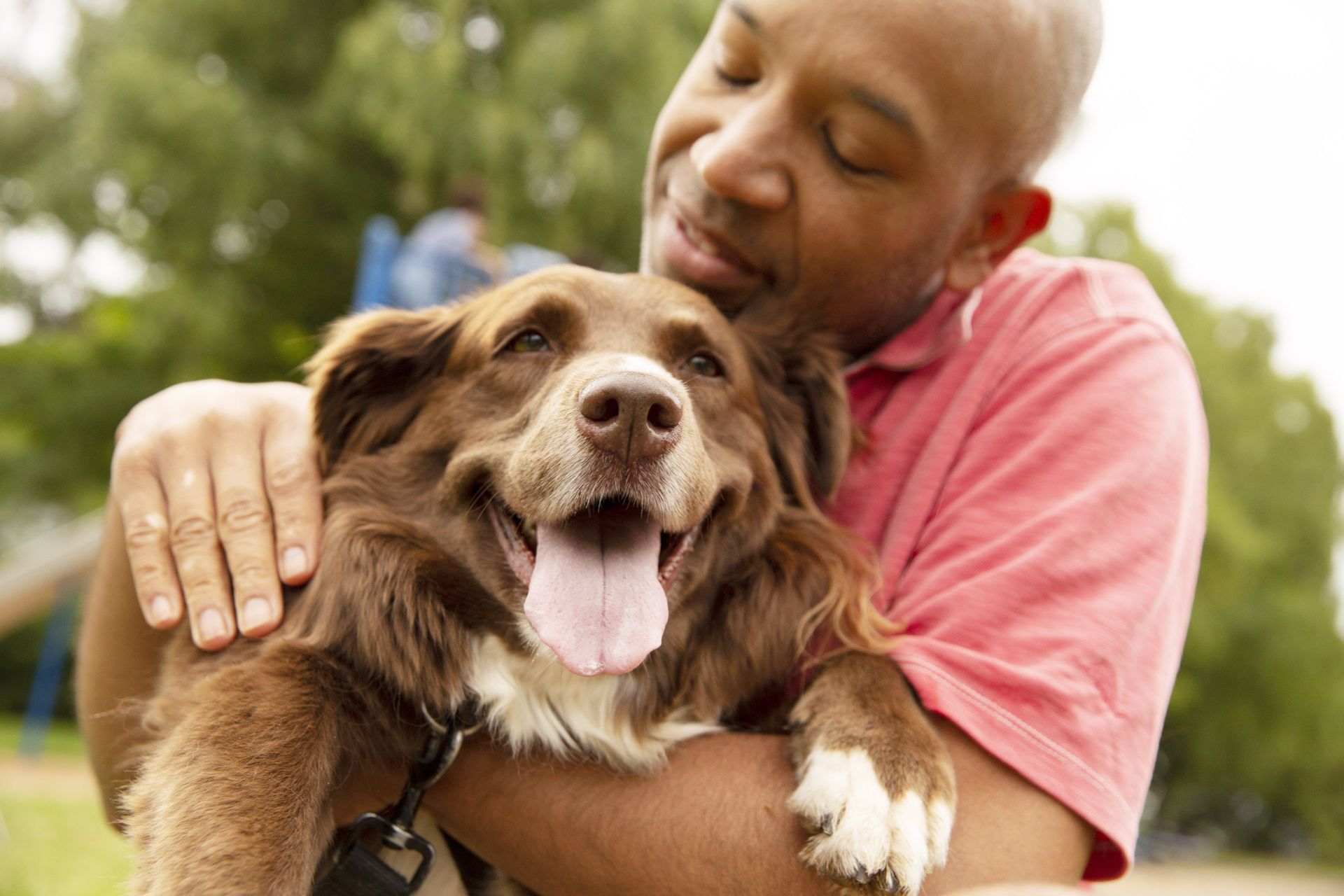 Man cuddling a fluffy brown and white dog