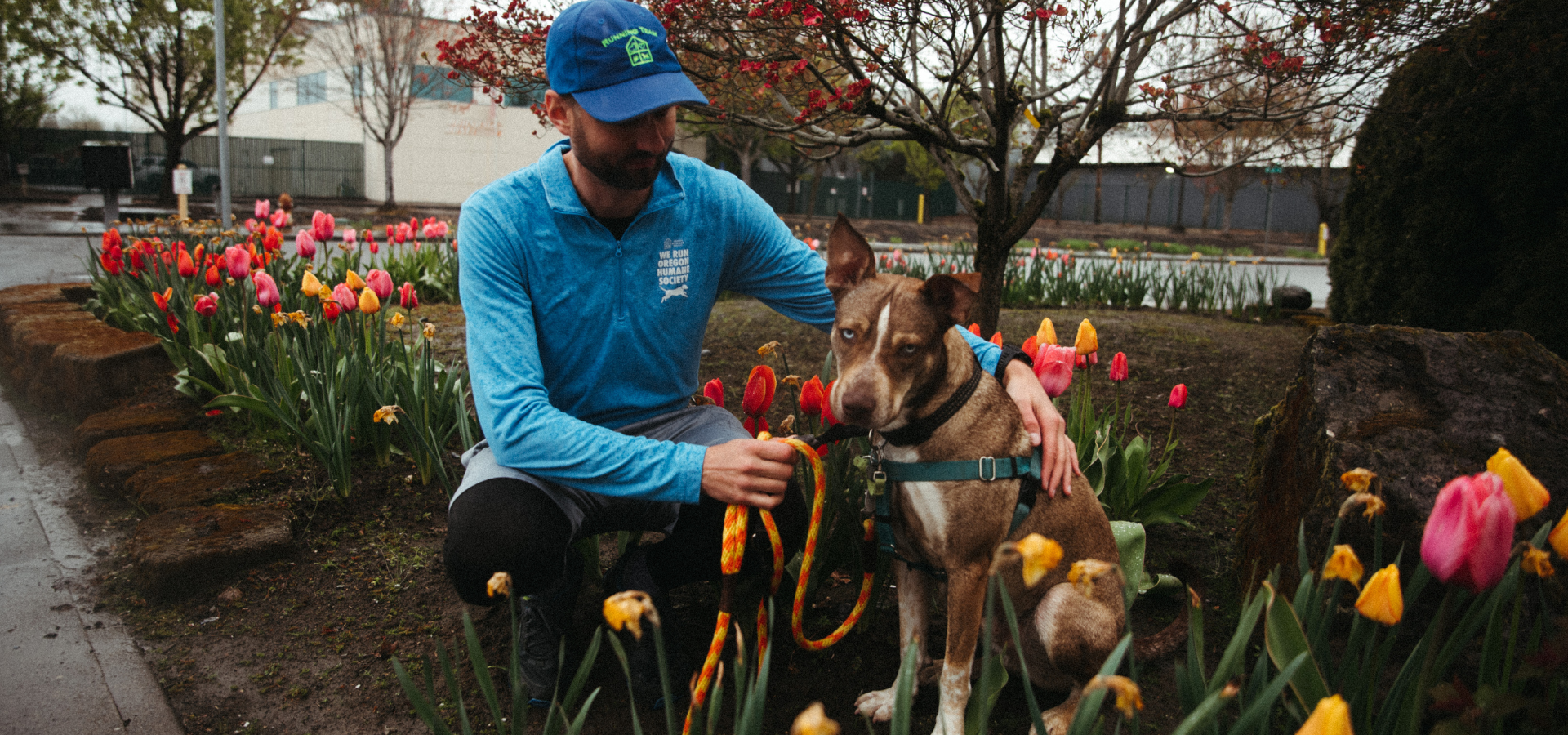 Oregon Humane running team volunteer with godric the dog in the Oregon Humane portland campu rose garden