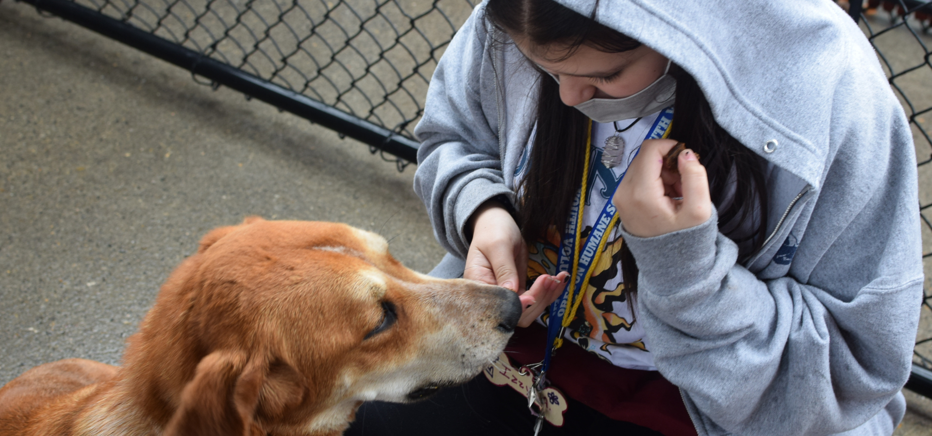 Kid with shelter dog giving a treat