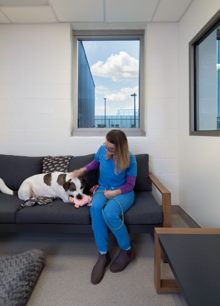 interior shot of OHS staff member socializing with shelter dog in oregon humane society behavior and rescue center