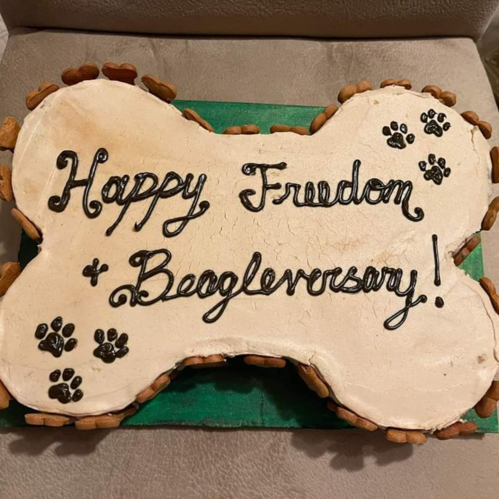 Dog Bone-shaped cake that says "Happy Freedom, Beagleversary!"