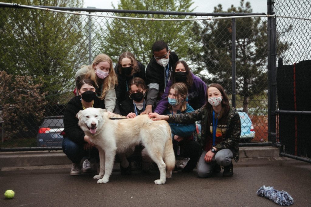 Youth Volunteers in outdoor run with dog