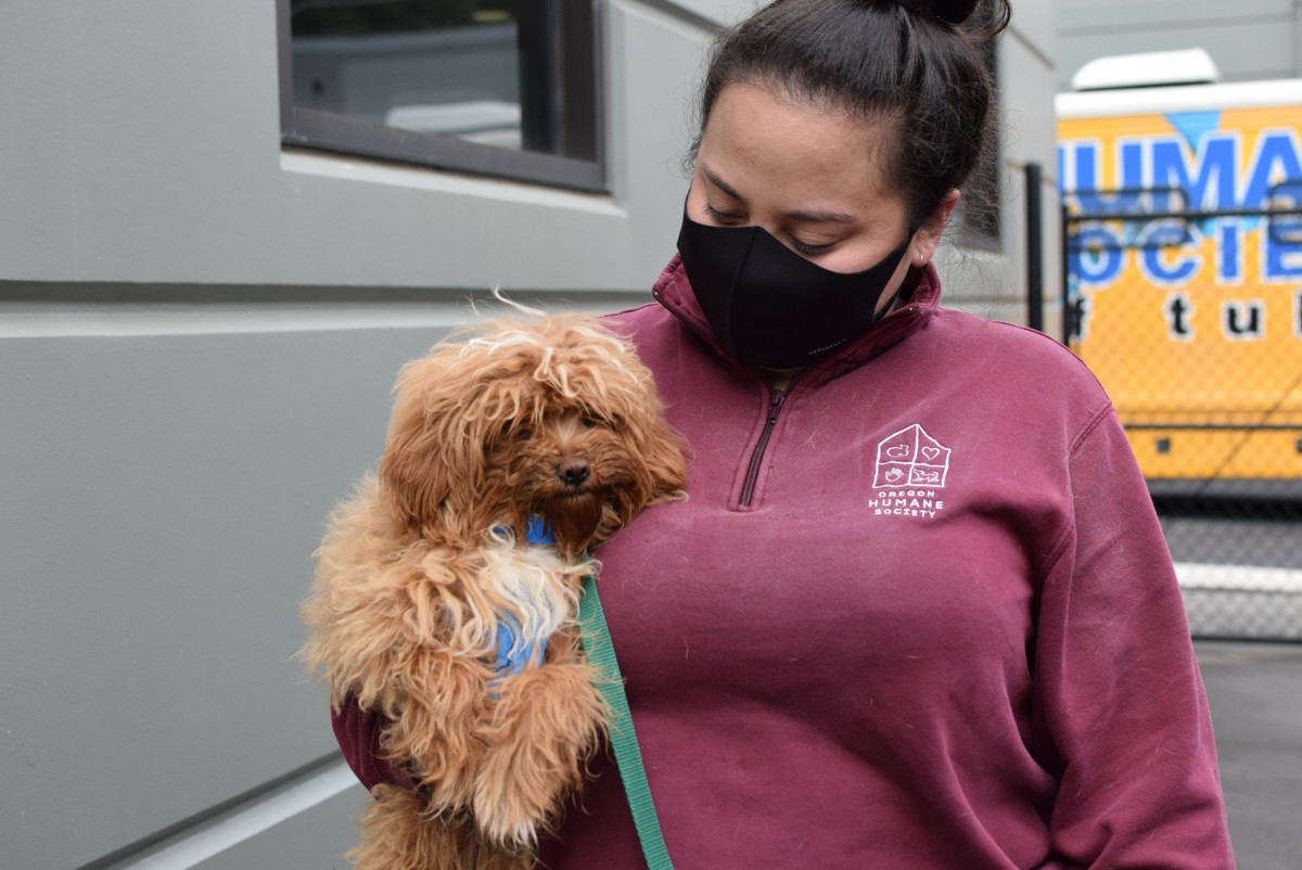 Oregon Humane Partners with Banfield Foundation on Life-Saving Transport Program
