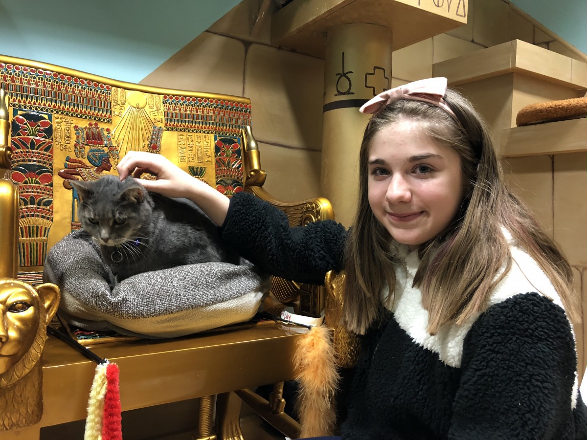 Oregon Humane Finds Home for 11,000th Pet of 2017