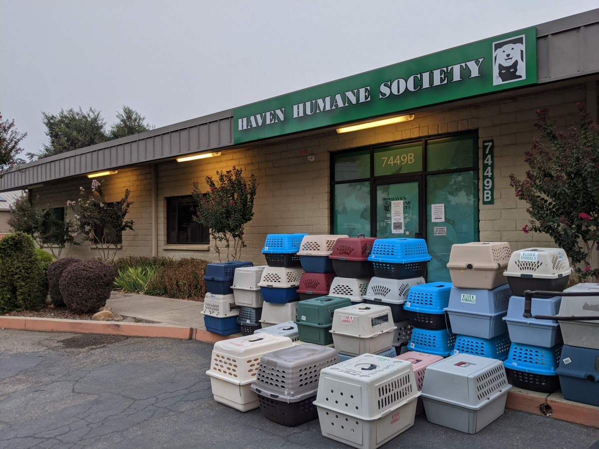 Oregon Humane assists pets affected by California wildfires