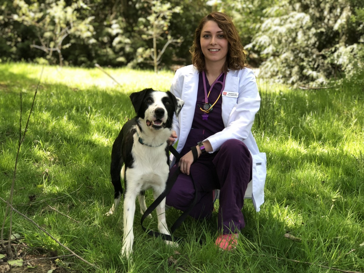 When a four-legged patient becomes a family member
