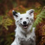 Fiona summer appeal
