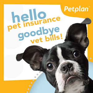 Lifetime Insurance Coverage for Furry Family Members with Petplan
