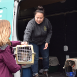 50 cats and 5 dogs from Beaumont Animal Care in Texas arrive in Oregon.