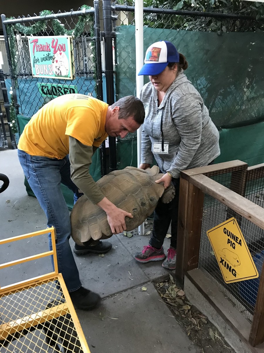 Oregon Humane Assists as Wildfires Edge Closer to Santa Barbara