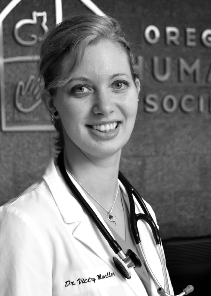 Oregon Humane Welcomes New Shelter Medicine Team Members