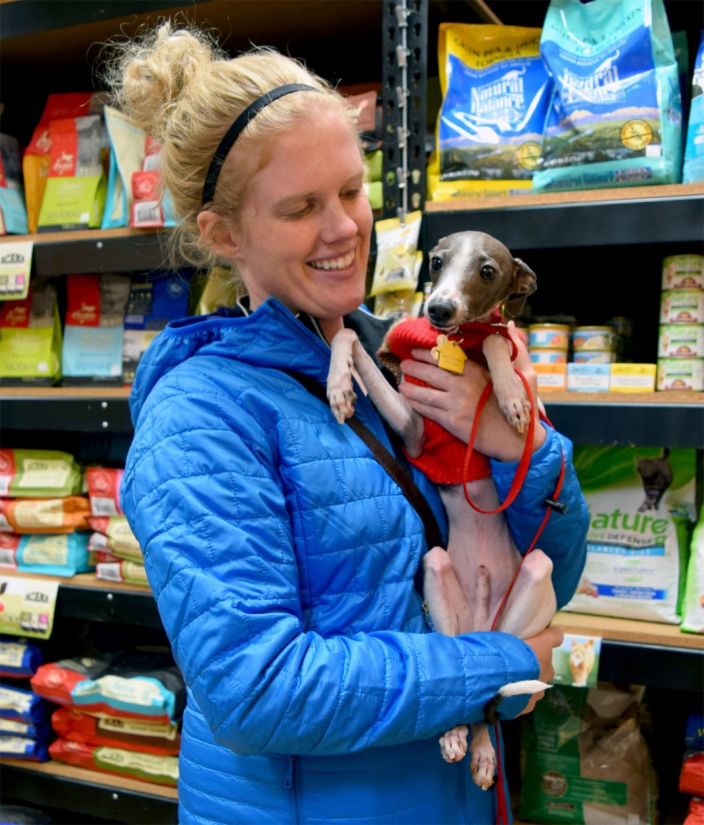 Italian Greyhounds Find Homes