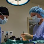 Two veterinarians from U.S. Army helping kitten