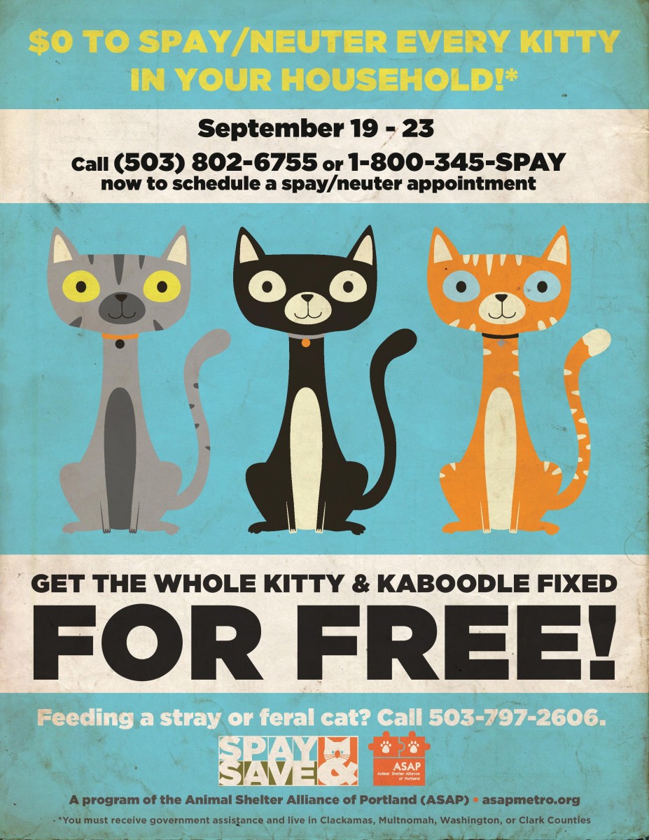 Get the Whole Kitty & Kaboodle Fixed for Free